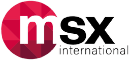 MSX International